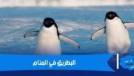 تفسير حلم البطريق في المنام لابن شاهين
