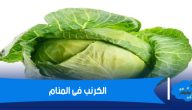 تفسير حلم الكرنب فى المنام لابن سيرين