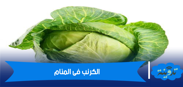 تفسير حلم الكرنب فى المنام لابن سيرين